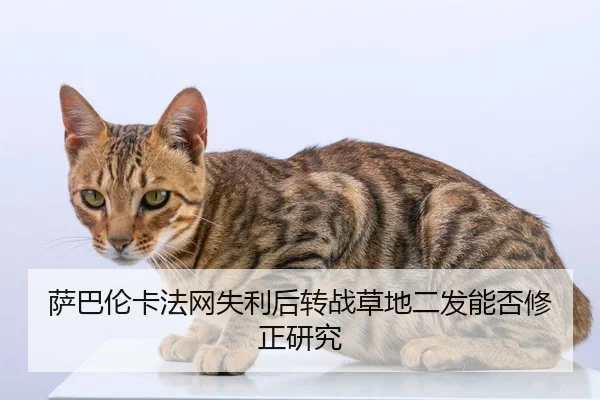 sa-ba-lun-ka-fa-wang-shi-li-hou-zhuan-zhan-cao-di-er-fa-neng-fou-xiu-zheng-yan-jiu-2-592.jpg