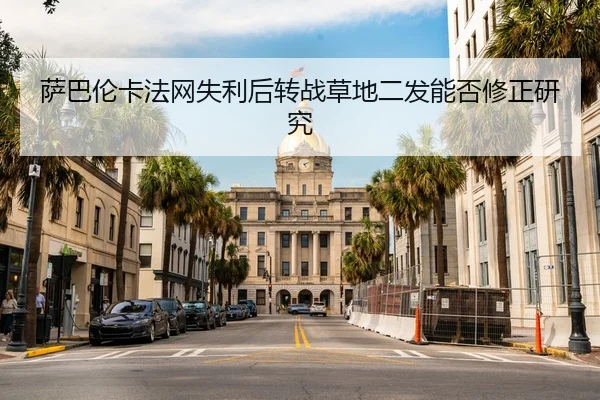 萨巴伦卡法网失利后转战草地二发能否修正研究